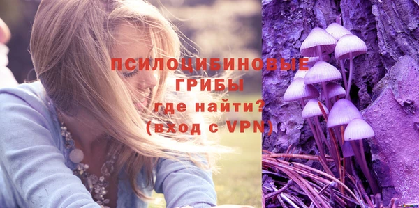 ГАЛЛЮЦИНОГЕННЫЕ ГРИБЫ Ладушкин