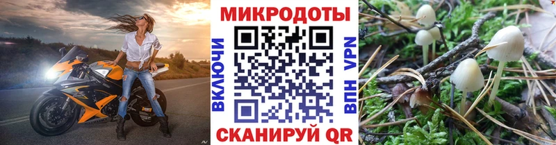 купить  сайты  Нефтегорск  ОМГ ОМГ онион  darknet клад  Псилоцибиновые грибы Psilocybe 